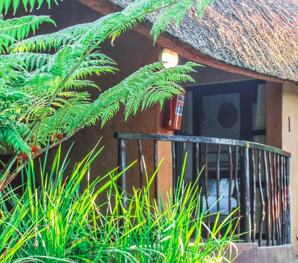 Amazulu Lodge Saint Lucia Estuary Zewnętrze zdjęcie